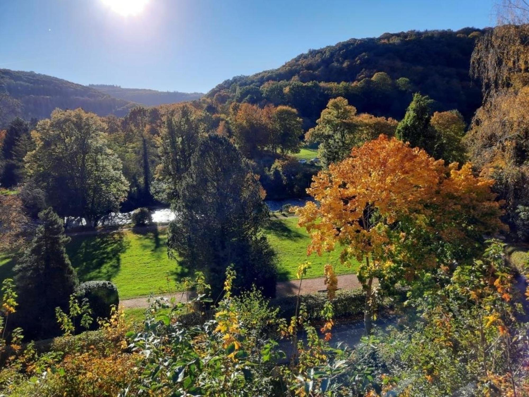 Ferienhaus &#039Freund Am See&#039 3 Heimbach Eksteriør billede